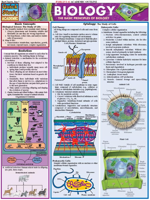 Click image to view full cover